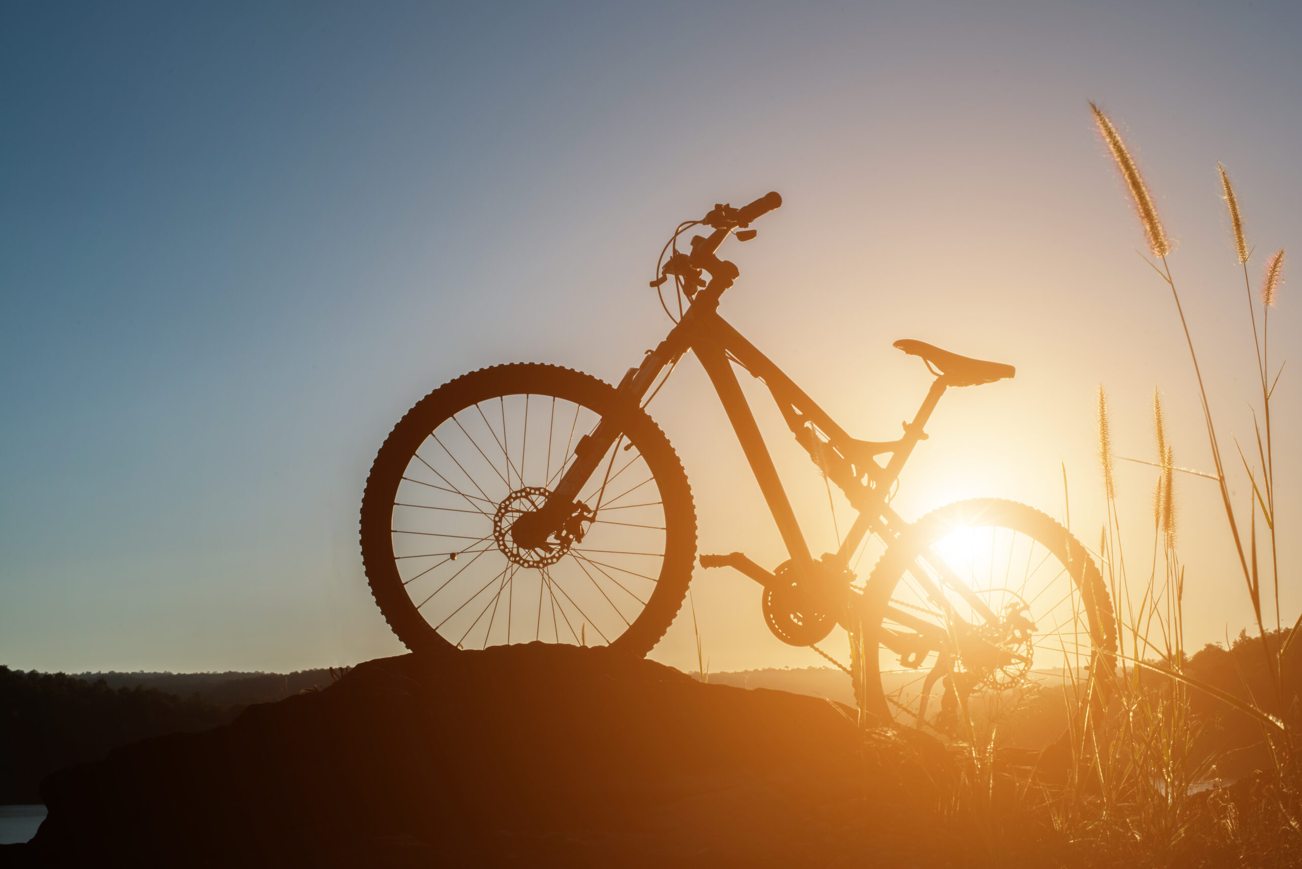 Seguro Bicicleta: 5 Dicas Essenciais para Proteção