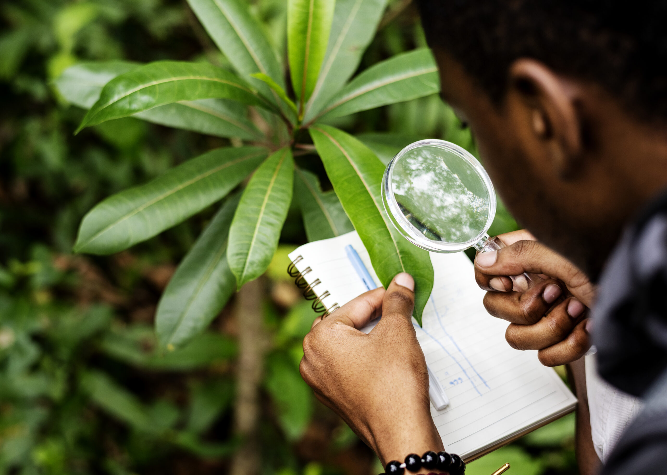 Programa de Regularização Ambiental: Dicas Essenciais